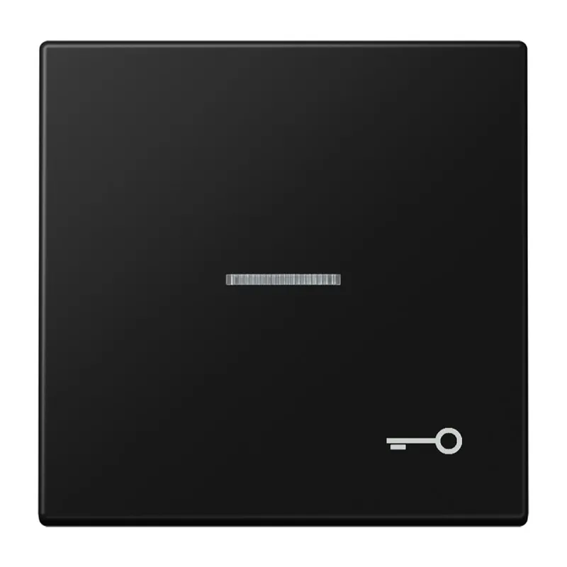 Jung Wippe mit Lichtleiter, Symbol Tür, Serie LS, graphitschwarz matt LS990KO5TSWM