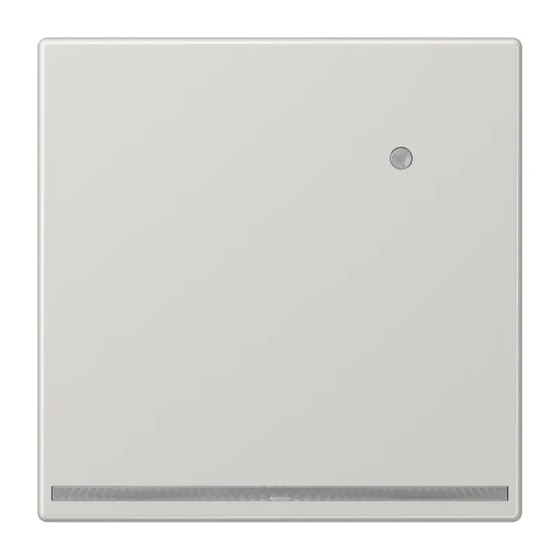 Jung LED-Orientierungslicht mit integriertem Helligkeitssensor, Thermoplast, Serie LS, lichtgrau LS1539-OLGLNW