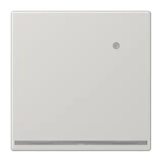 Jung LED-Orientierungslicht mit integriertem Helligkeitssensor, Thermoplast, Serie LS, lichtgrau LS1539-OLGLNW