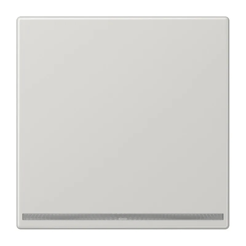 Jung LED-Orientierungslicht, Thermoplast, Serie LS, lichtgrau LS1539-OOLGLNW