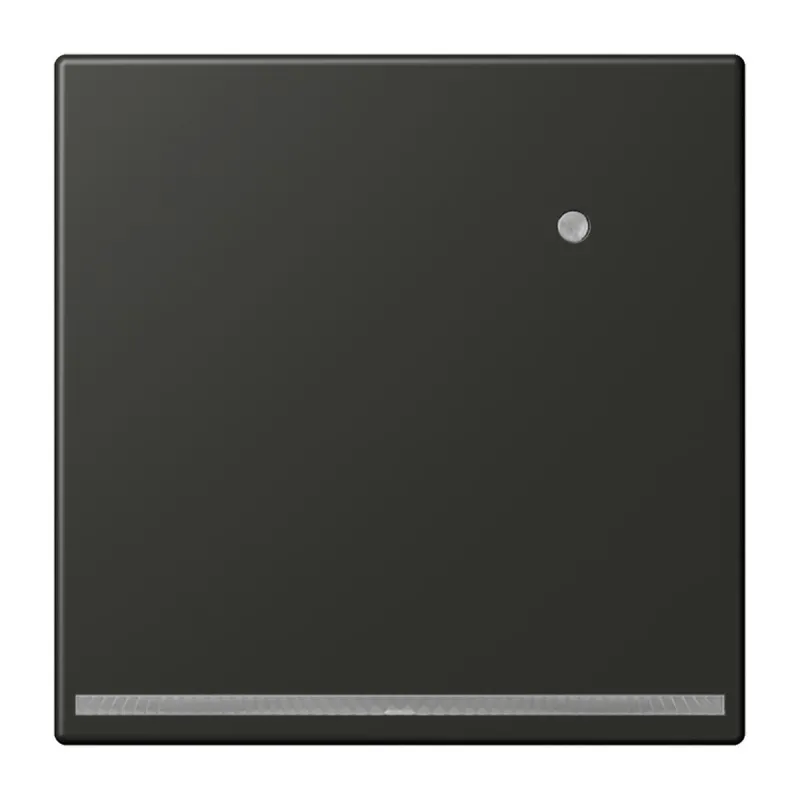 Jung LED-Orientierungslicht mit Helligkeitssensor, Serie LS, anthrazit AL1539-OANLNW