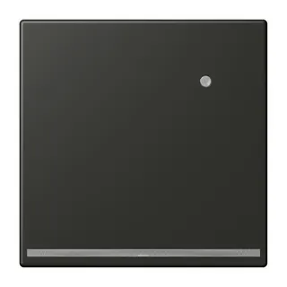 Jung LED-Orientierungslicht mit Helligkeitssensor, Serie LS, anthrazit AL1539-OANLNW