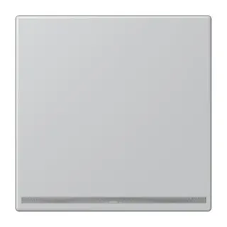 Jung LED-Orientierungslicht, Thermoplast lackiert, Serie LS, Aluminium AL1539-OOLNW