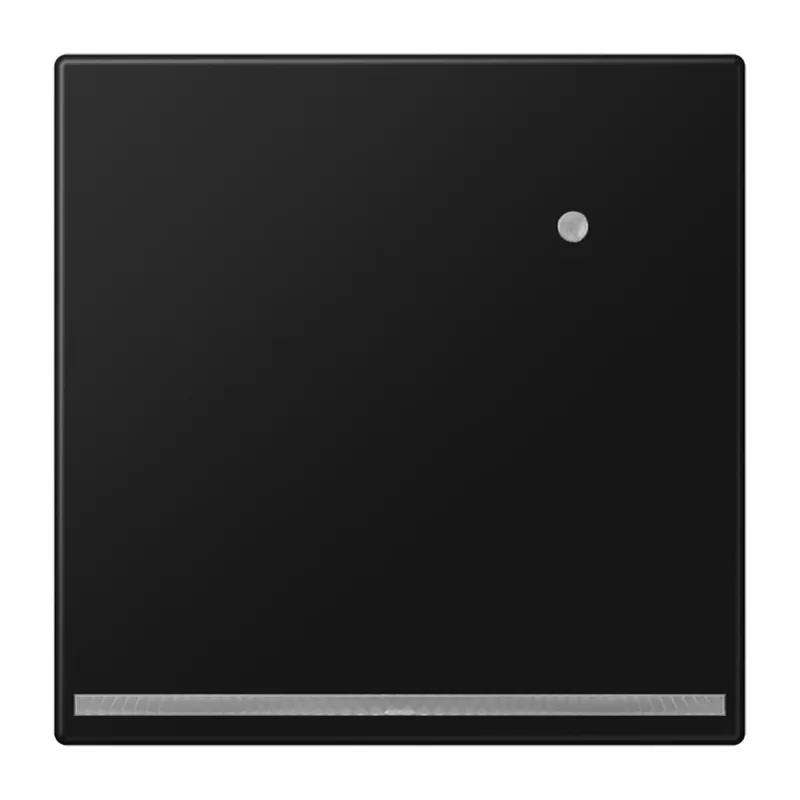 Jung LED-Orientierungslicht mit Helligkeitssensor, Serie LS, graphitschwarz matt LS1539-OSWMLNW