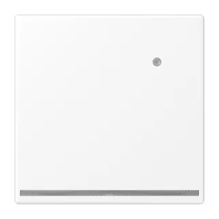 Jung LED-Orientierungslicht mit Helligkeitssensor, Serie LS, schneeweiß matt LS1539-OWWMLNW