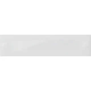 Gira Türlautsprechermodul 855800 Sys 106
