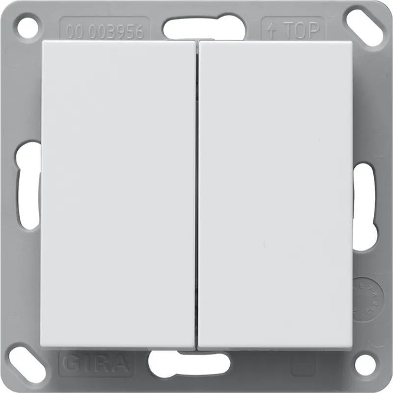 Gira Wandsender 246203 2f System 55 Reinweiß