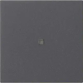 Gira Aufsatz KNX RF 1f Sys 55 anthr.