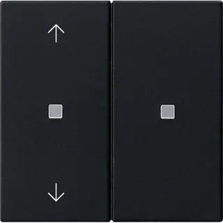 Gira Aufsatz KNX RF 2f Pfeile Sys 55 sw m