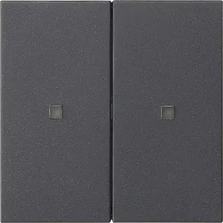 Gira Aufsatz KNX RF 2f Sys 55 anthr.