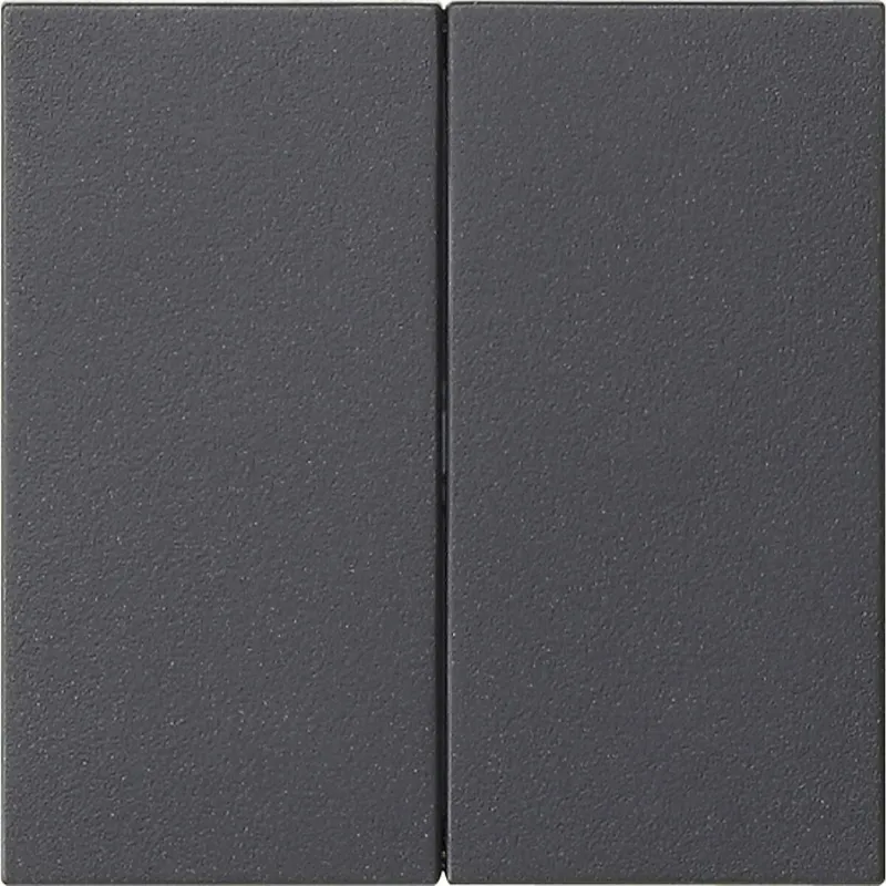 Gira Aufsatz 536228 S3000 2f System 55 anthrazit