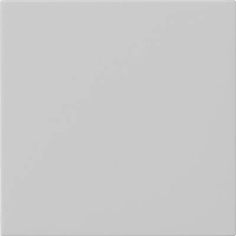 Gira Wippe 1f unbedruckt Sys 55 gr m
