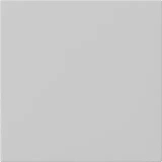 Gira Wippe 1f unbedruckt Sys 55 gr m
