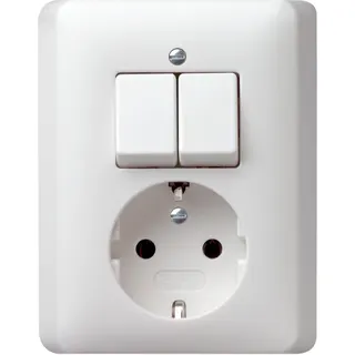 Gira Kombination 017504 Serien + SCHUKO Standard 55 rw m
