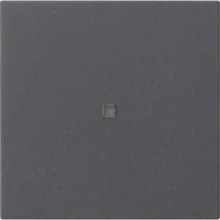 Gira Wippe 1f unbedruckt Kontrollf. Sys 55 anthr.