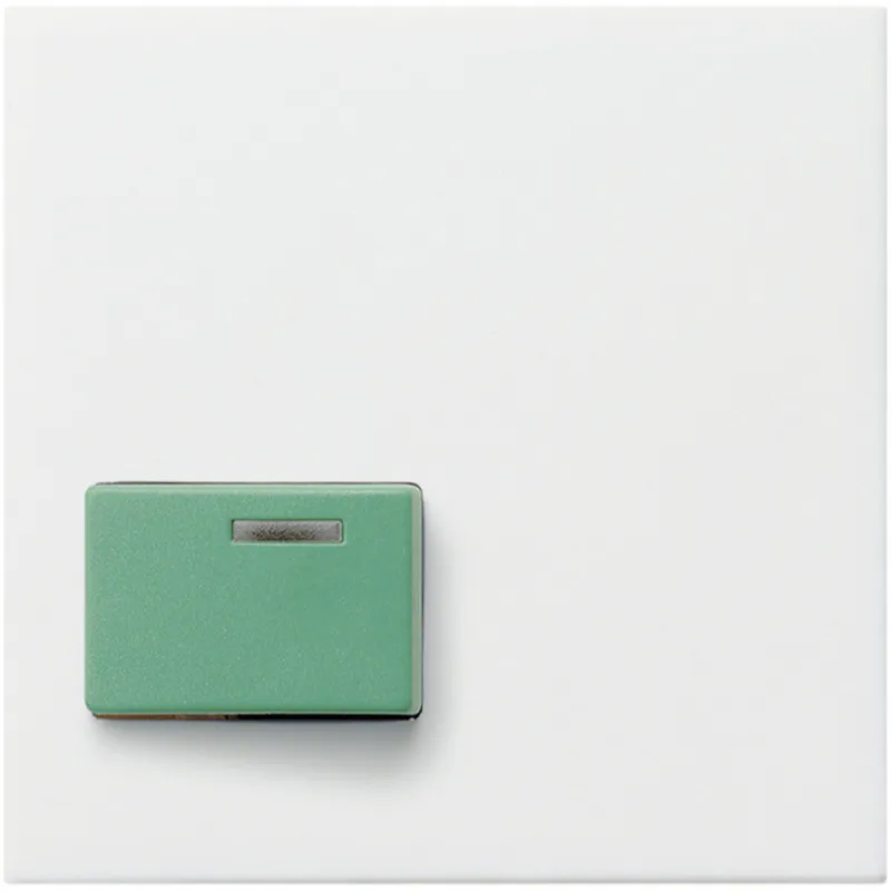 Gira Abdeckung 024627 Ack 73642C System 55 rw matt