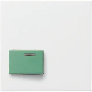 Gira Abdeckung 024627 Ack 73642C System 55 rw matt
