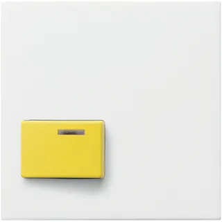 Gira Abdeckung 024703 Ack 73642D System 55 reinweiss