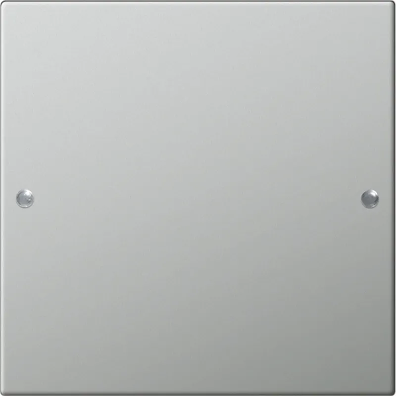 Gira Set 2131601 1fach System 55 Edelstahl