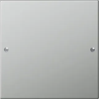 Gira Set 2131601 1fach System 55 Edelstahl