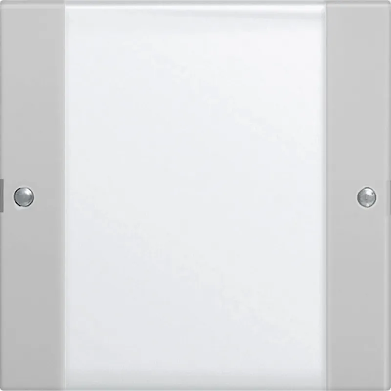 Gira Wippe 2131015 1f BSF Sys 55 Klar/grau