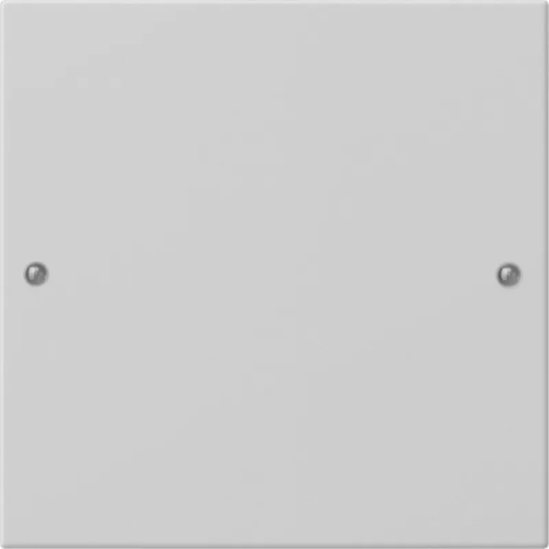 Gira Wippe 2181015 1f Sys 55 grau(lack.)