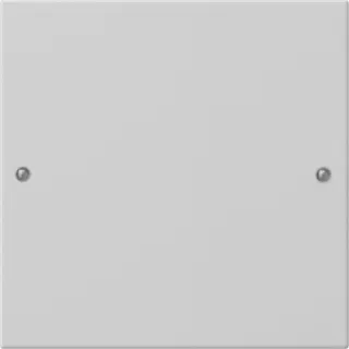 Gira Wippe 2181015 1f Sys 55 grau(lack.)