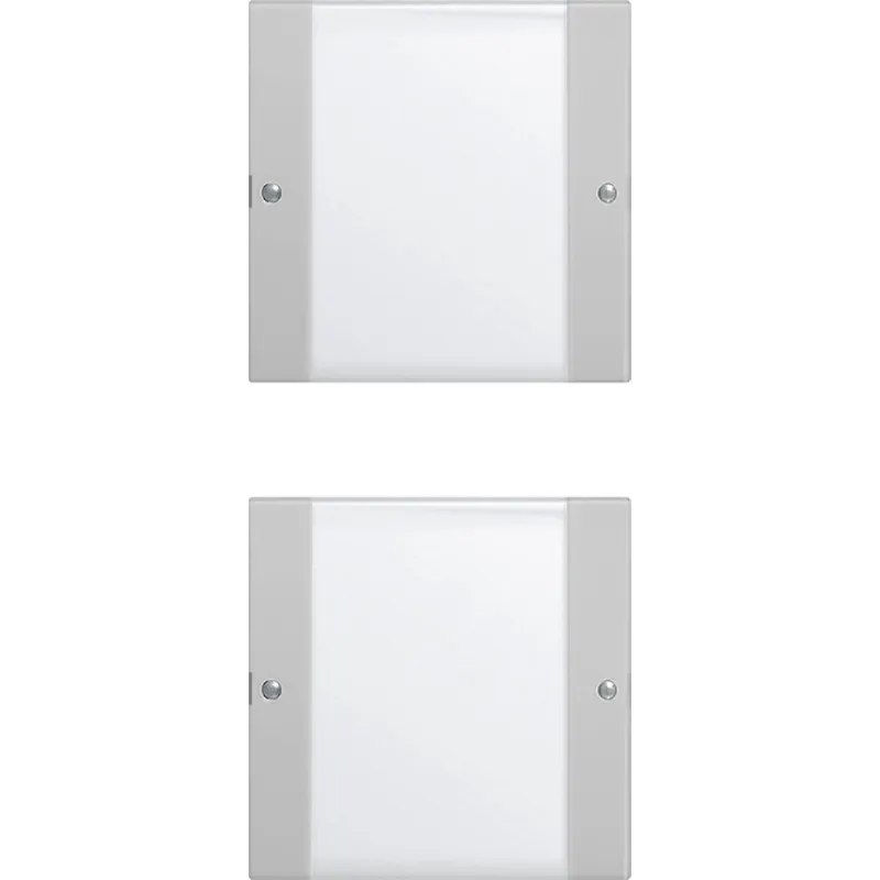 Gira Wippe 2132015 2f (1+1) BSF Sys 55 Klar/grau
