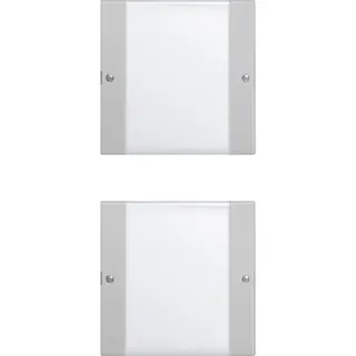 Gira Wippe 2132015 2f (1+1) BSF Sys 55 Klar/grau