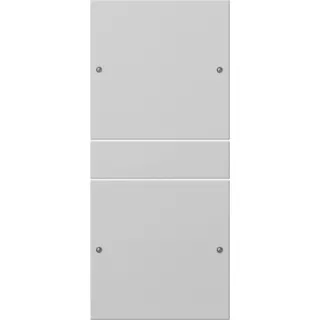 Gira Wippe 2182015 2f (1+1) Sys 55 grau(lack.)