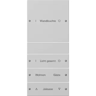Gira Wippe 2204015 4f (1+3) beschr. Sys55 gr(lack.)