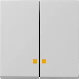 Gira Wippe 0631015 2f Kontrollf. Sys 55 grau