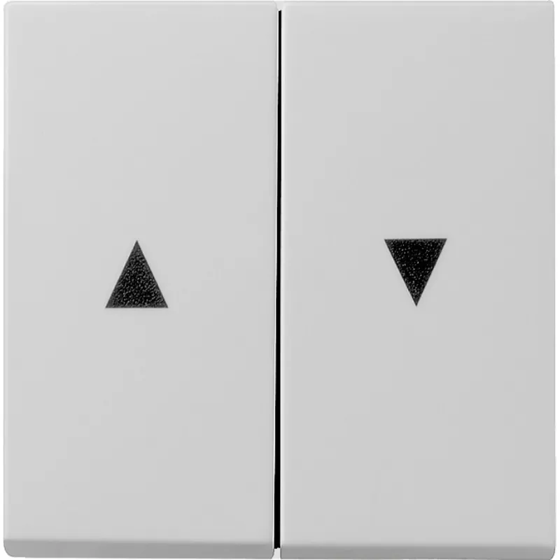 Gira Wippe 0294015 2f Pfeilsymbol Sys 55 grau
