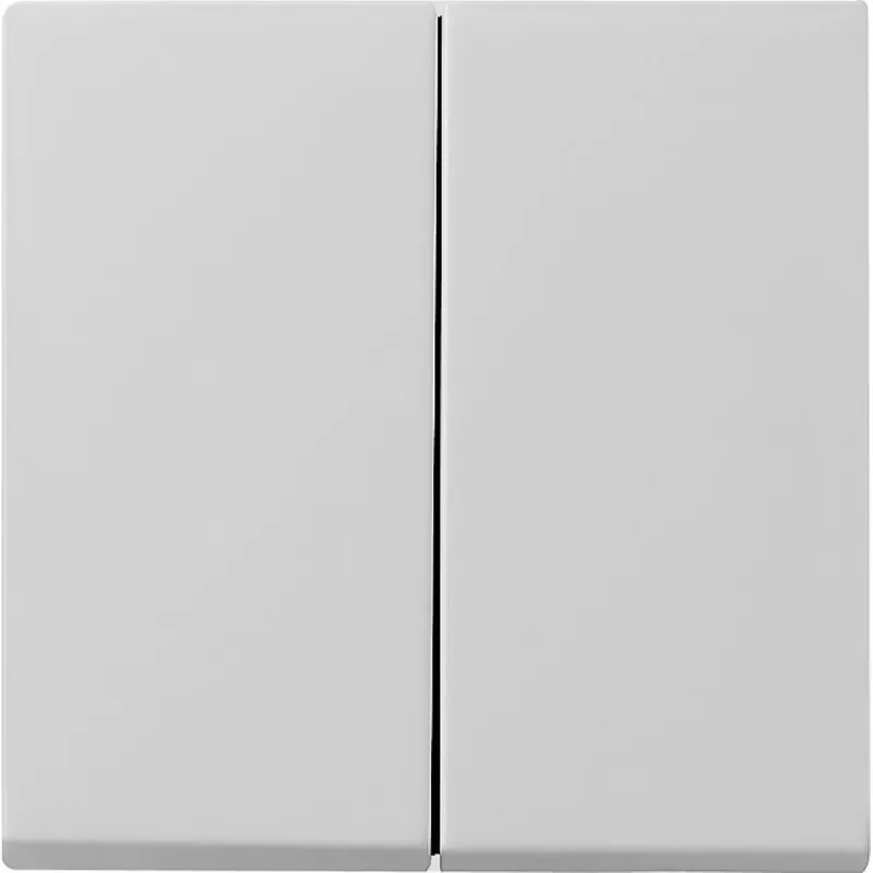 Gira Wippe 0295015 2f Sys 55 grau
