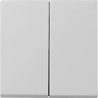 Gira Wippe 0295015 2f Sys 55 grau
