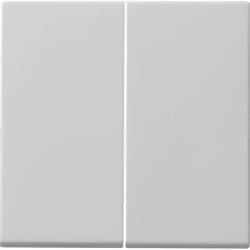 Gira Wippe 0915015 2f Tastschalter Sys 55 grau