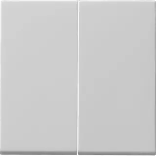 Gira Wippe 0915015 2f Tastschalter Sys 55 grau