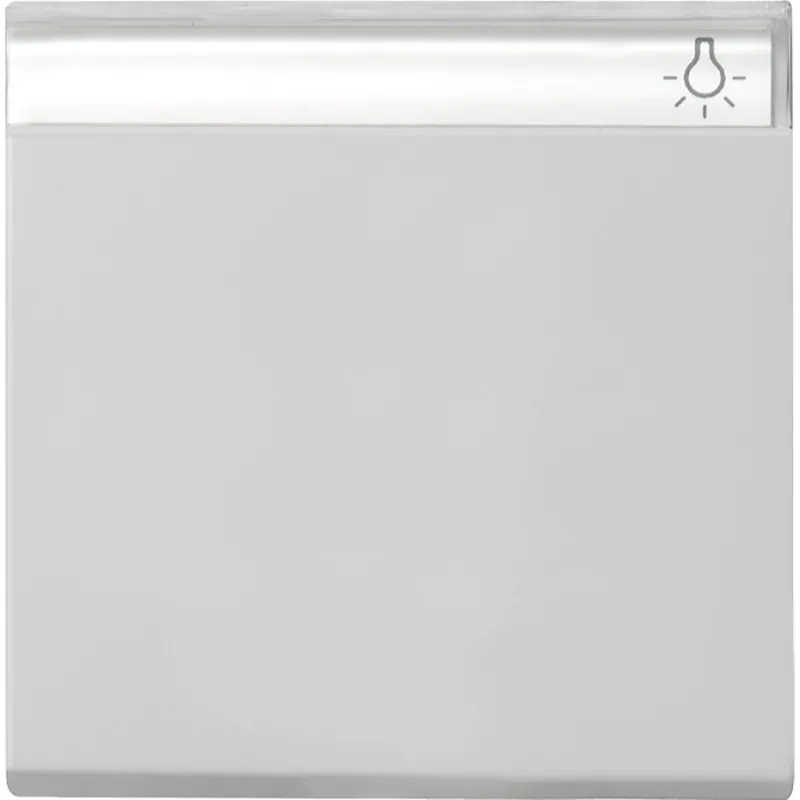 Gira Wippe 0299015 BSF Sys 55 grau
