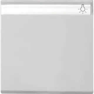 Gira Wippe 0299015 BSF Sys 55 grau