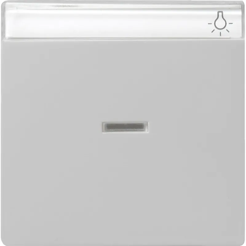 Gira Wippe 0670015 Kontrollf.+BSF Sys 55 grau