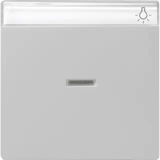 Gira Wippe 0670015 Kontrollf.+BSF Sys 55 grau