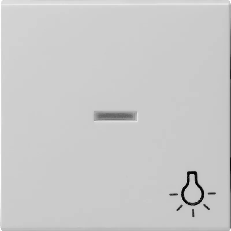 Gira Wippe 0674015 Kontrollf.+Symb. Licht Sys 55 gr