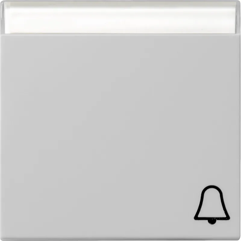 Gira Wippe 0673015 Symb. Klingel+BSF Sys 55 grau