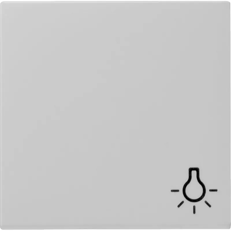 Gira Wippe 0285015 Symb. Licht Sys 55 grau