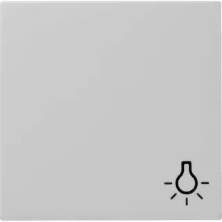 Gira Wippe 0285015 Symb. Licht Sys 55 grau