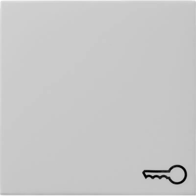 Gira Wippe 0287015 Symb. Tür Sys 55 grau