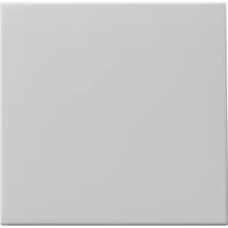 Gira Wippe 0916015 Tastschalter Sys 55 grau