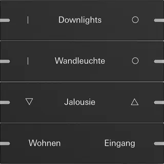 Gira Wippe 4f indiv. Tastsens.4 TS4 Schwarz