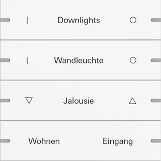 Gira Wippe 4f indiv. Tastsens.4 TS4 Reinweiß