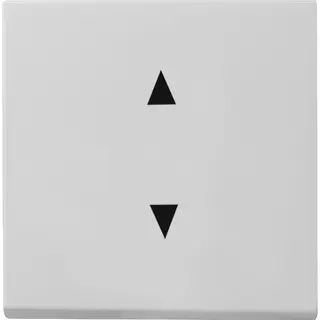 Gira Wippe 8616015 Pfeilsymbole System 55 Grau m